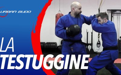 Dallo scudo alla testuggine: quando la difesa diventa attiva