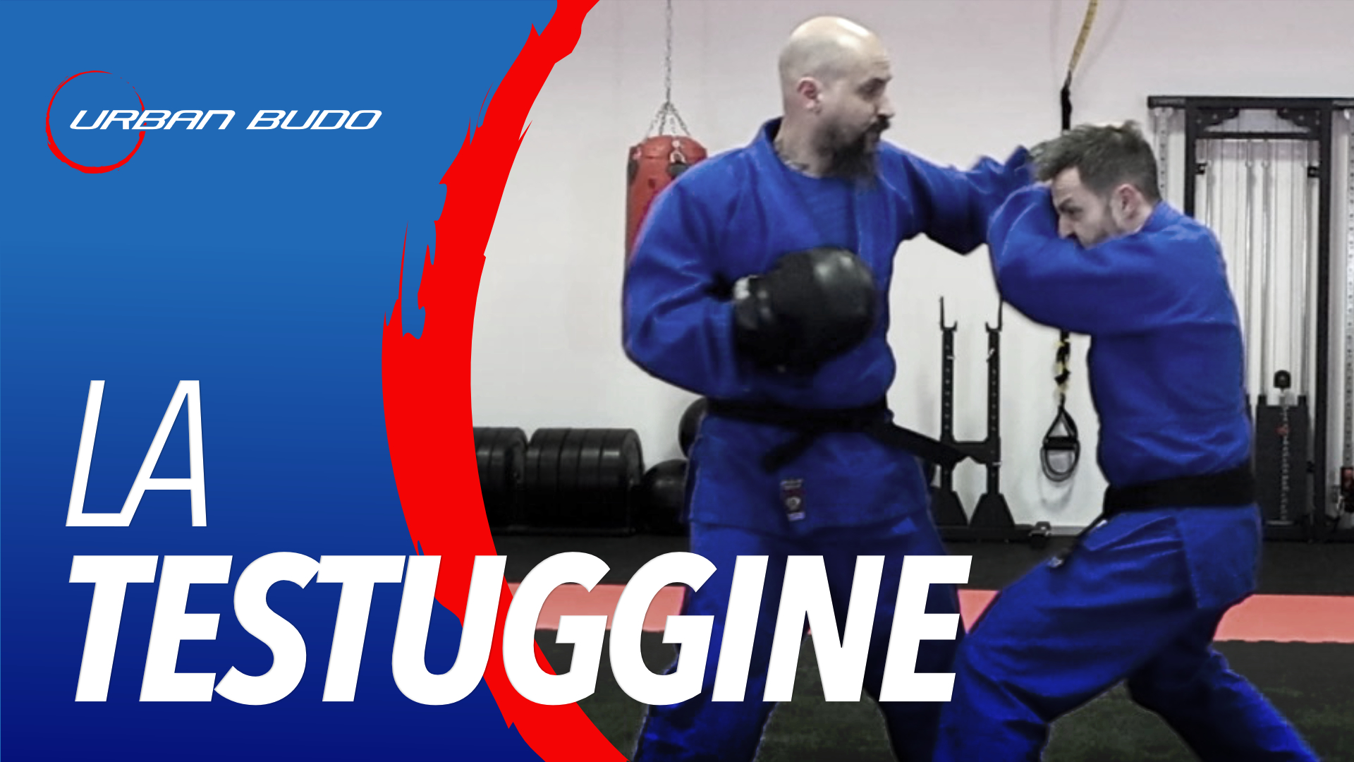 Come passare dalla difesa passiva dello scudo a quella attiva della testuggine